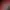 CROSSBOW: Bloodnight.