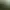 Mount & Blade.