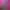 Neon Echo.