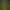Nuclear Throne.