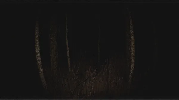 https://shared.akamai.steamstatic.com/store_item_assets/steam/apps/2298390/ss_b0a14ef333b9c5eeaa41493f0e26b49355396773.600x338.jpg?t=1726834770