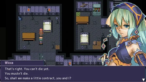 https://shared.akamai.steamstatic.com/store_item_assets/steam/apps/3155580/29fa1391d9f6304e249e76eda78cd01127e08225/ss_29fa1391d9f6304e249e76eda78cd01127e08225.600x338.jpg?t=1749168966