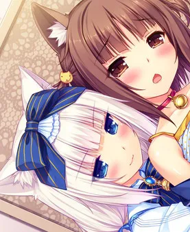 https://shared.akamai.steamstatic.com/store_item_assets/steam/apps/947660/ss_e7679663253a64e702857753423510e332877466.600x338.jpg?t=1604522500